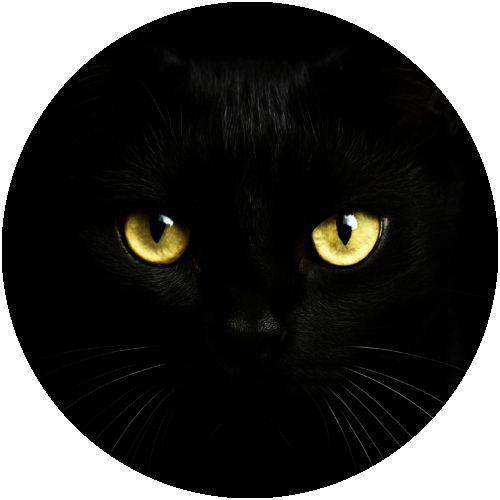 鮫島ノト「Cat's Eye Baby」